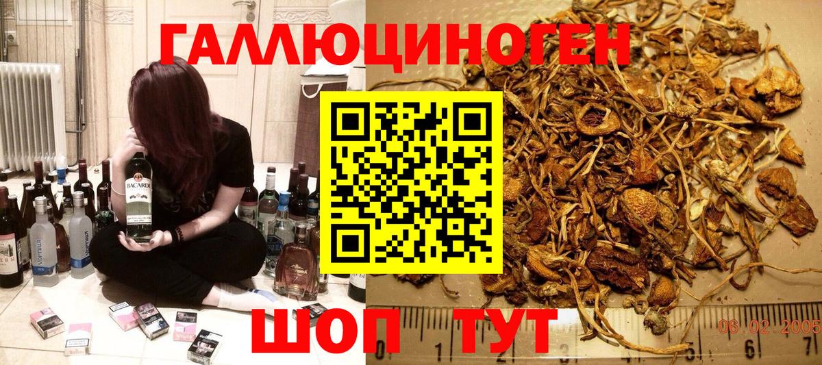 Галлюциногенные грибы ЛСД Кузнецк